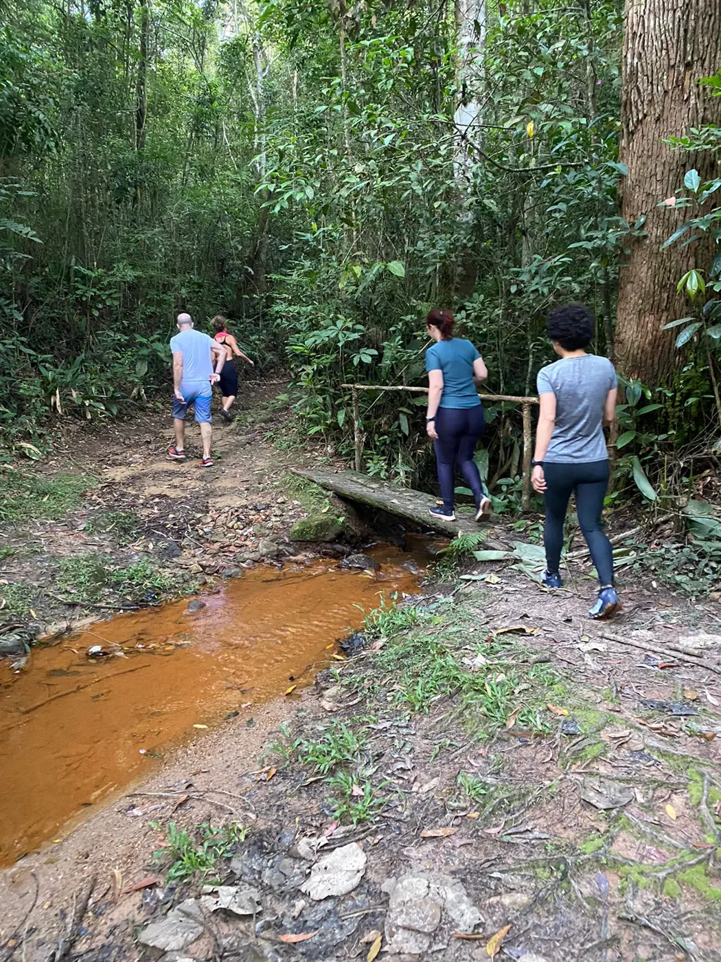 Participantes atravessando uma ponte de madeira na mata
